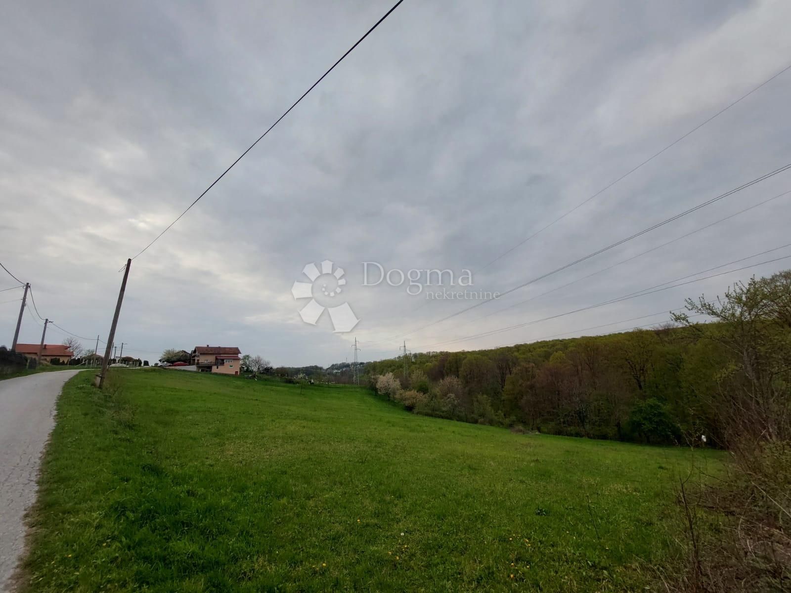 Fotografija