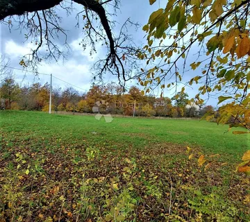 RIJETKA PRILIKA - cover