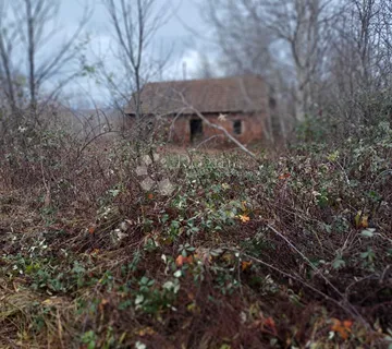 Stara kuća na velikom placu - cover