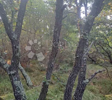 Poljoprivredna parcela na traženoj lokaciji u Balama - cover
