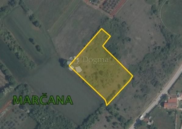 Fotografija