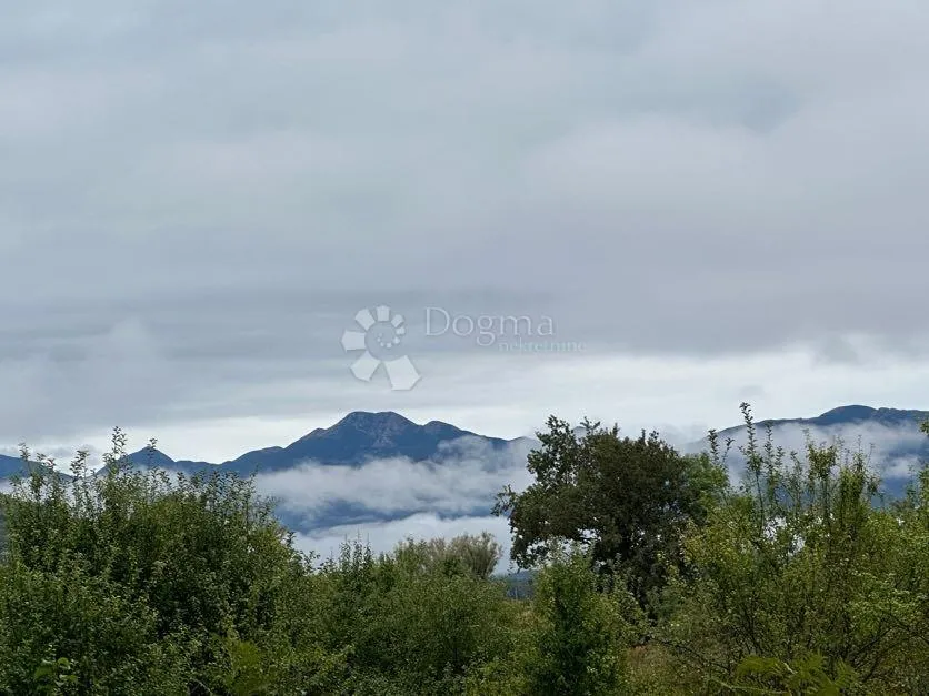 Fotografija
