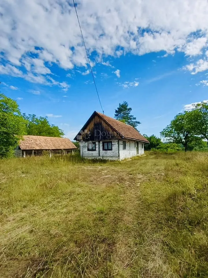 Fotografija