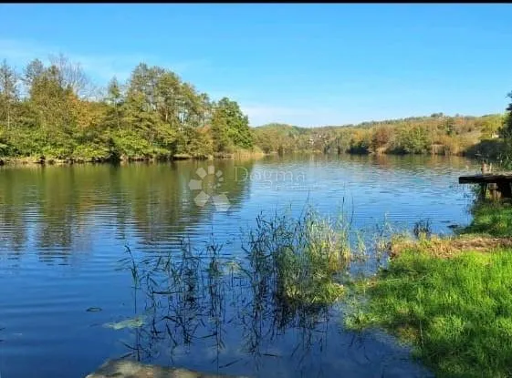 Fotografija