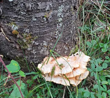 Maxi površina, mini cijena - cover