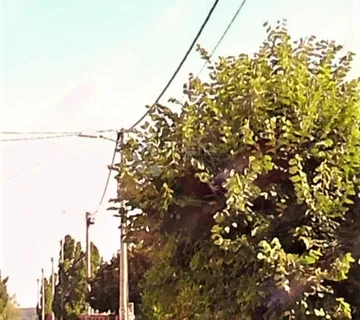  izuzetno atraktivan plac u Vukovaru - cover