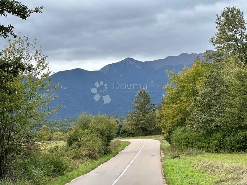 Fotografija