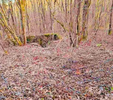 Ogulin - poljoprivredno zemljište s potencijalom - cover