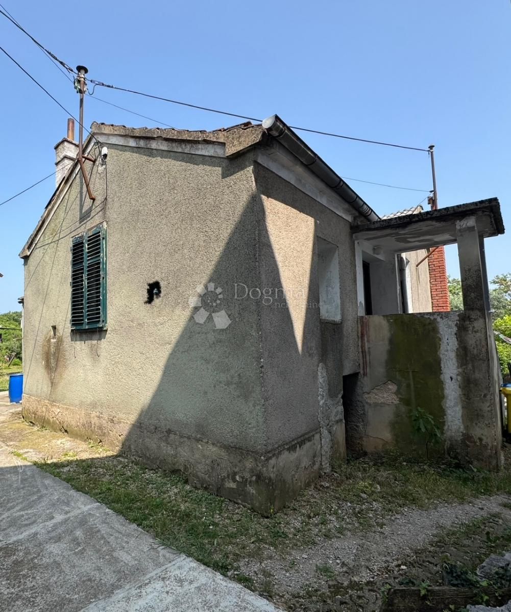 Fotografija
