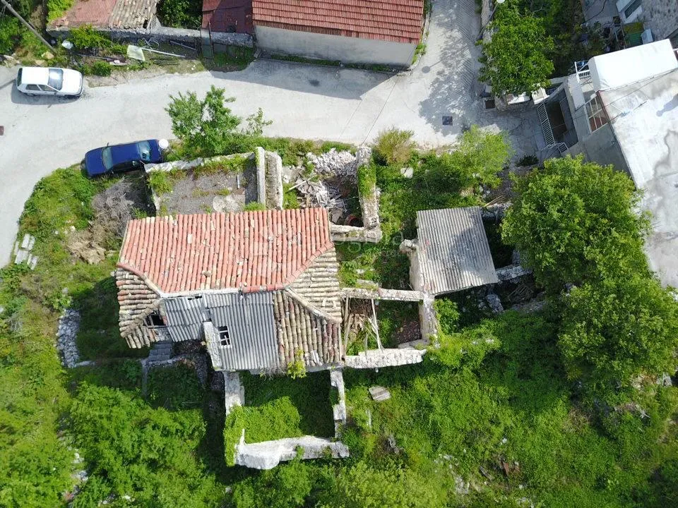 Fotografija