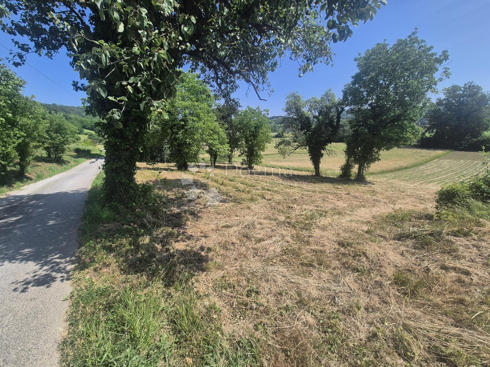 Fotografija