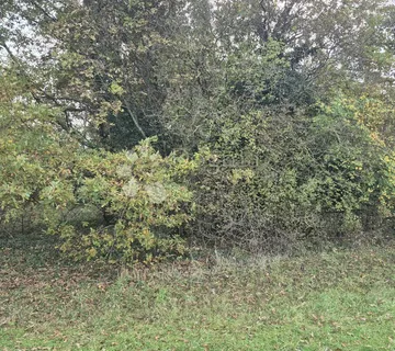 Poljoprivredno zemljište nedaleko mjesta Pusti 8182 m2 - cover