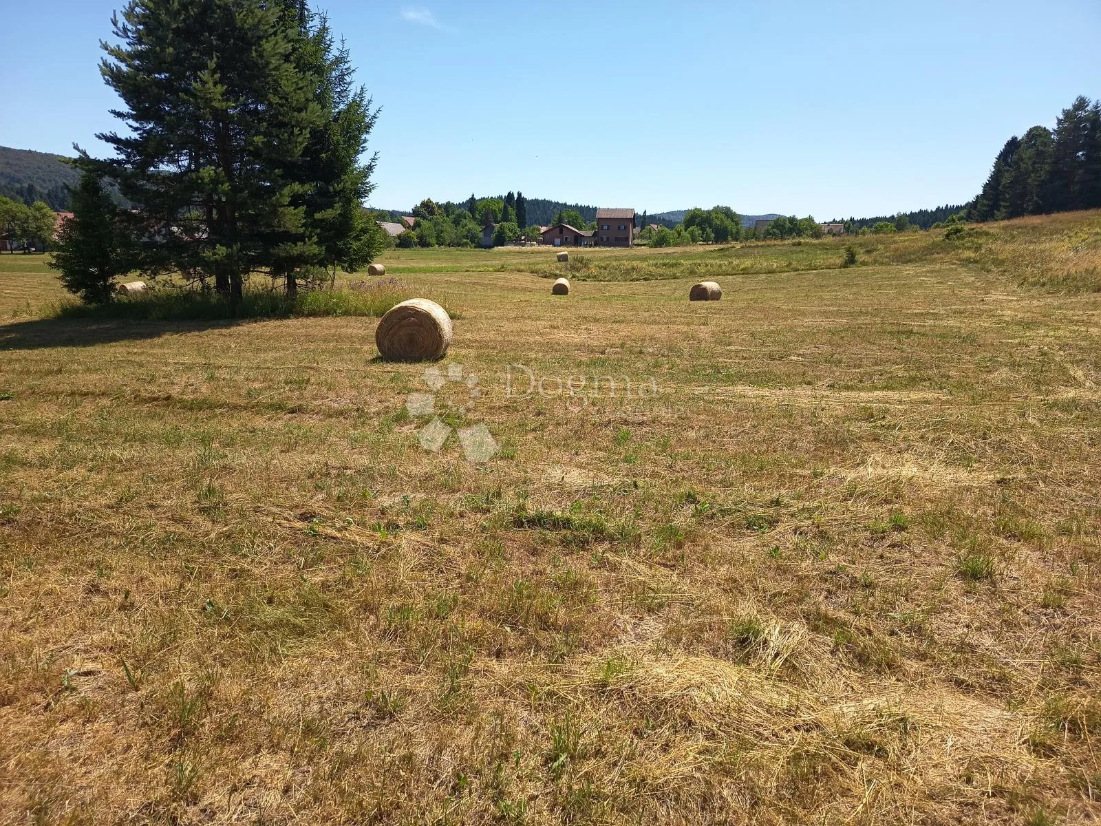 Fotografija