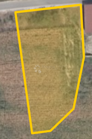 Fotografija