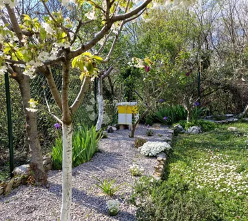 KRALJEVICA VELI DOL VIKENDICA SA OKUĆNICOM - cover