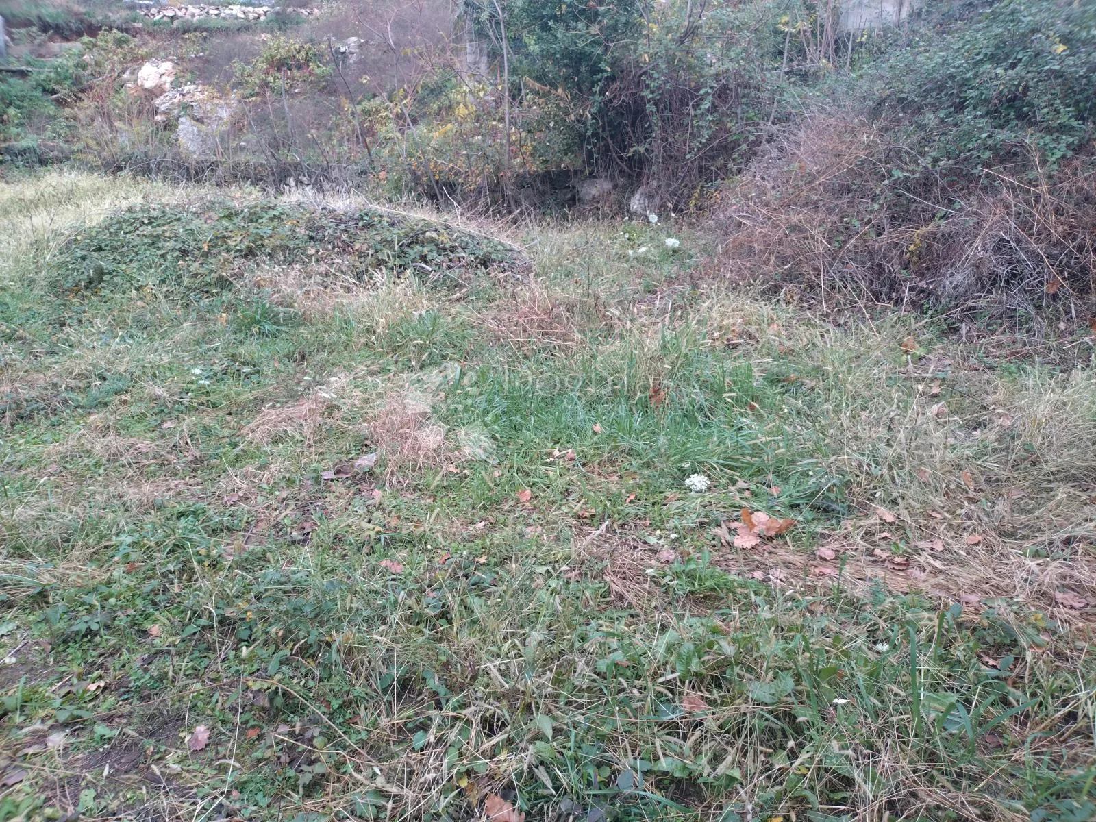 Fotografija