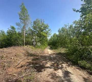 GRAĐEVINSKO ZEMLJIŠTE U DIVOSELSKOJ ŠUMI S PUTEM - cover