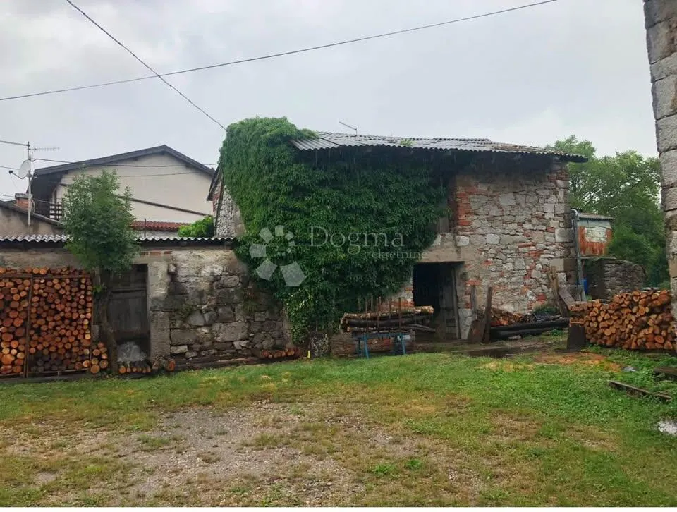 Fotografija