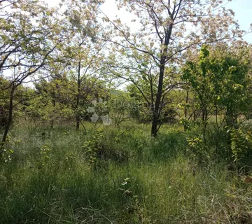 ŠUMA 3350M2 SVETVINČENAT - cover
