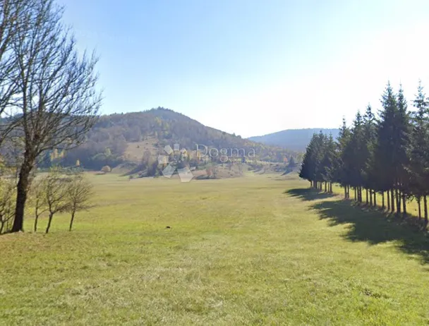 Fotografija