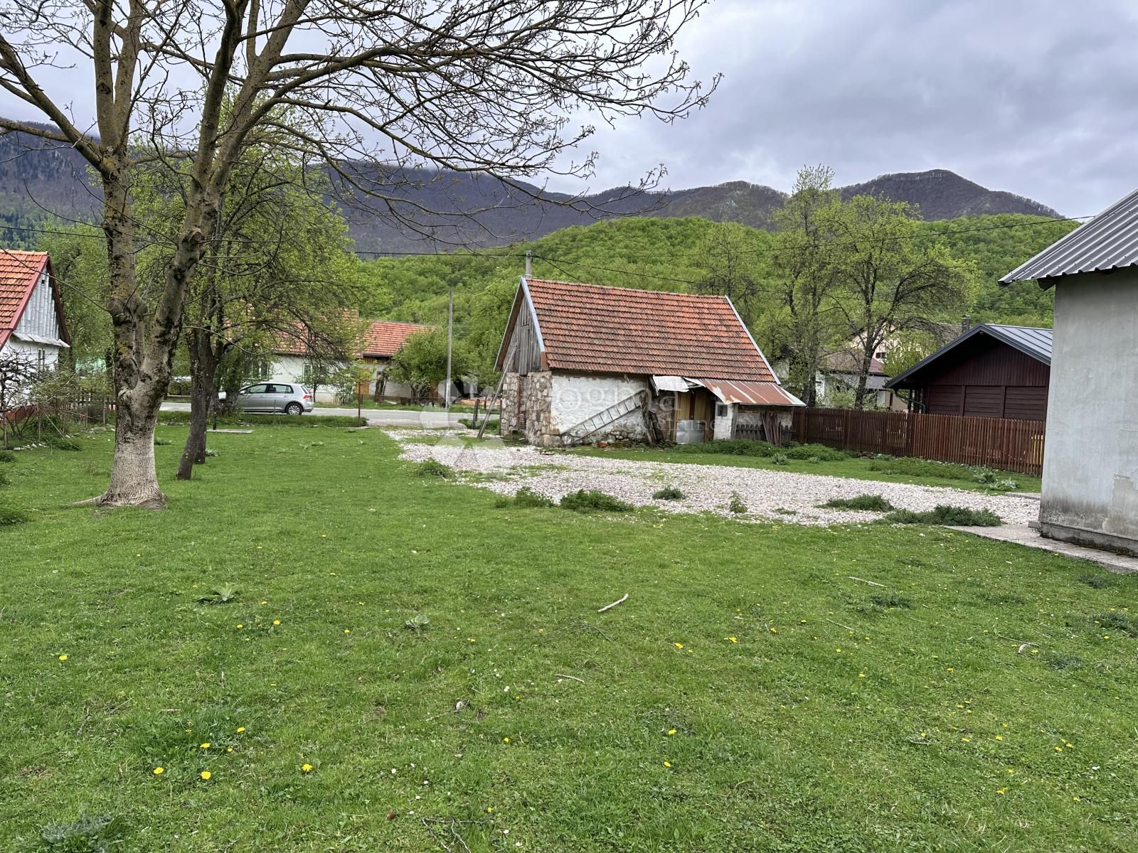 Fotografija