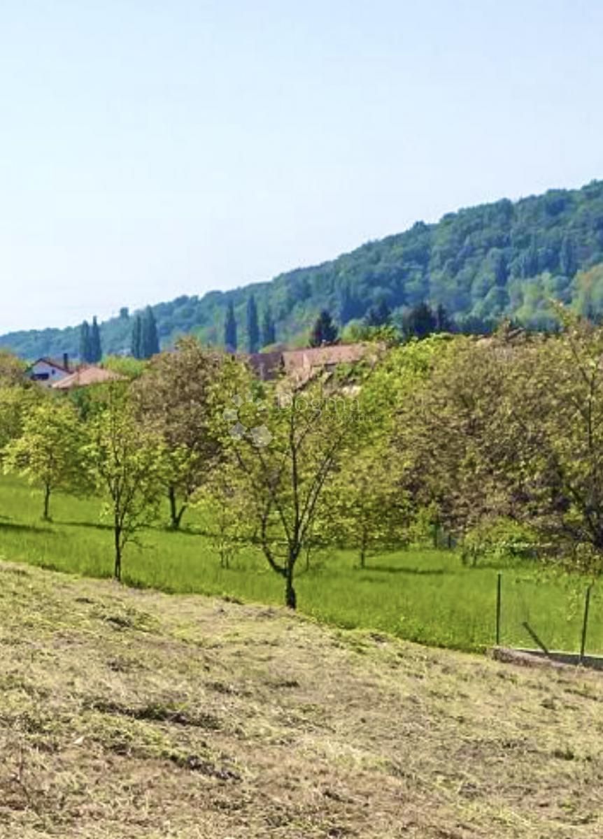 Fotografija