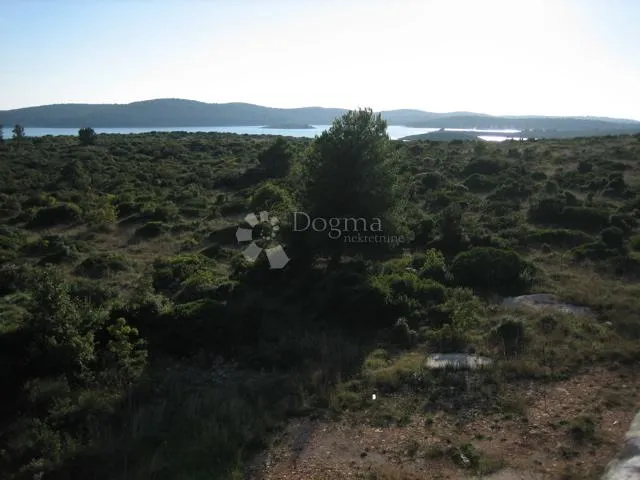 Fotografija