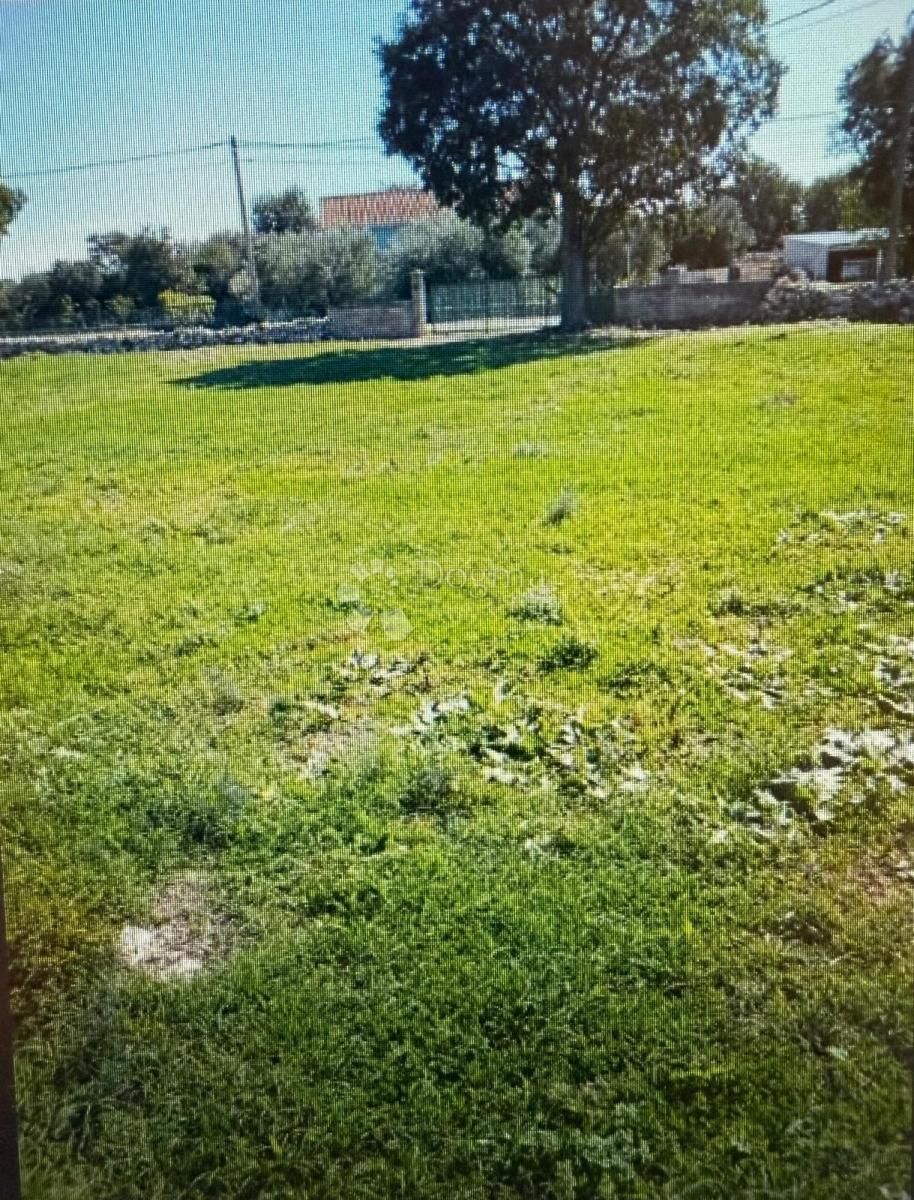 Fotografija