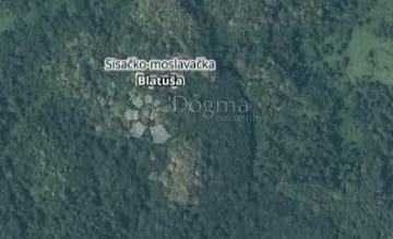 Šumarak kraj potočića - cover