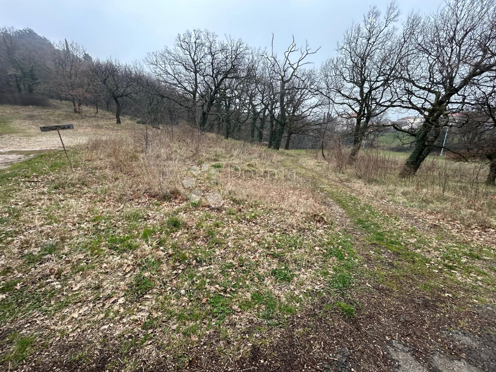 Fotografija