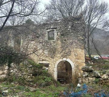 SAMO U DOGMI RUŠEVINA SA VELIKOM OKUĆNICOM - cover