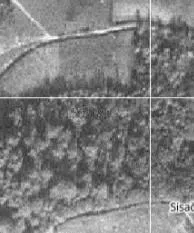 Hektar šume u ekoselu- uz put - cover