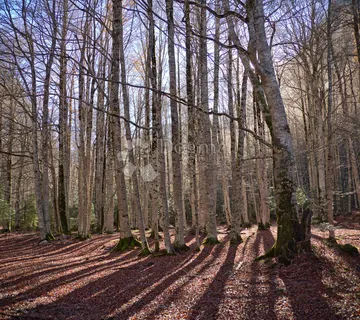 Poljoprivredno zemljište | Šuma | Slatina Pokupska - Glina - cover