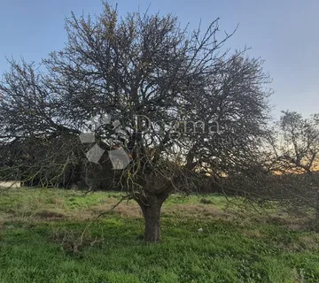 Građevinsko zemljište 1 km od mora  - cover