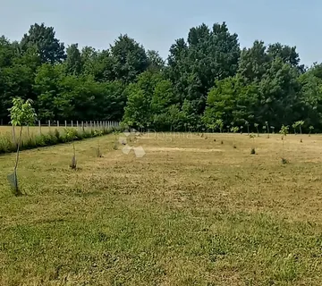 Ograđeno zemljište s mladim orahom – 1.5 ha - cover