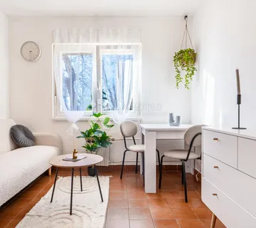 ZAMET JEDNOSOBNI STAN  - cover