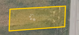 Fotografija