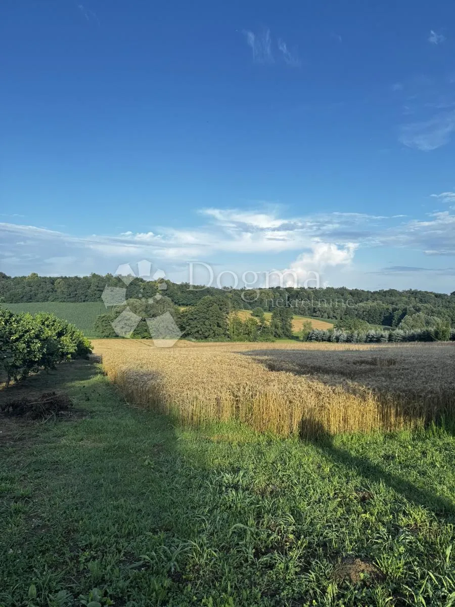 Fotografija