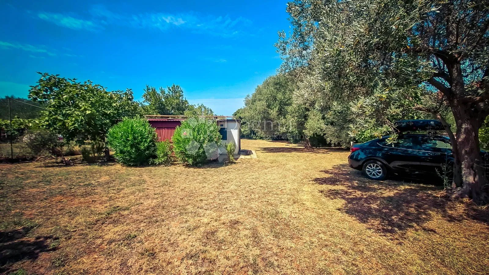 Fotografija