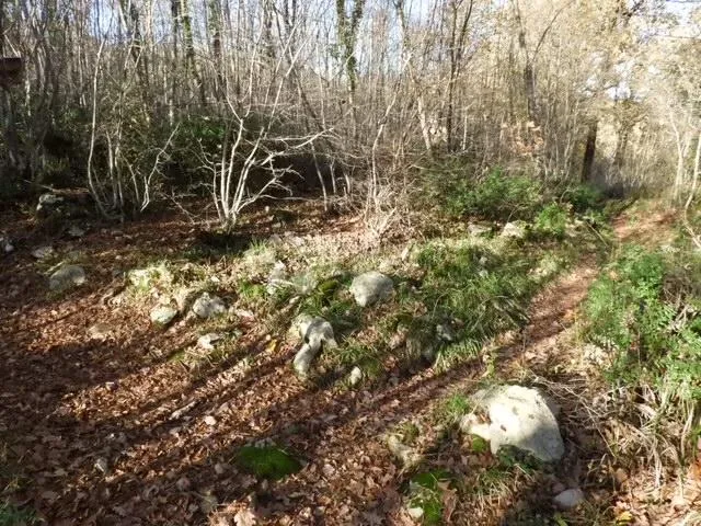 Fotografija