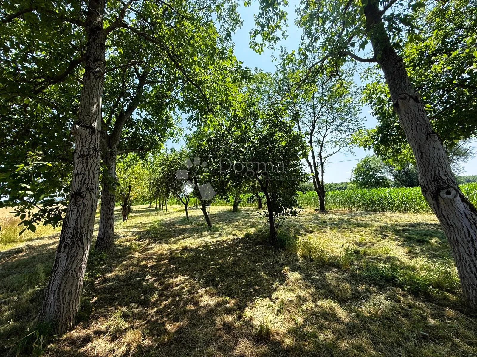 Fotografija