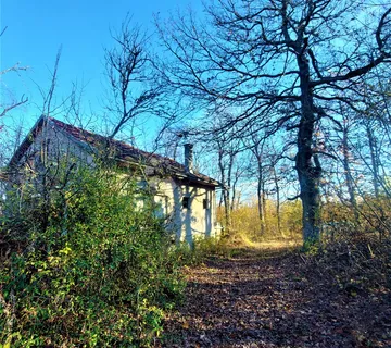 SKRIVENA OAZA MIRA- idilična kuća na osami okružena prirodom - cover