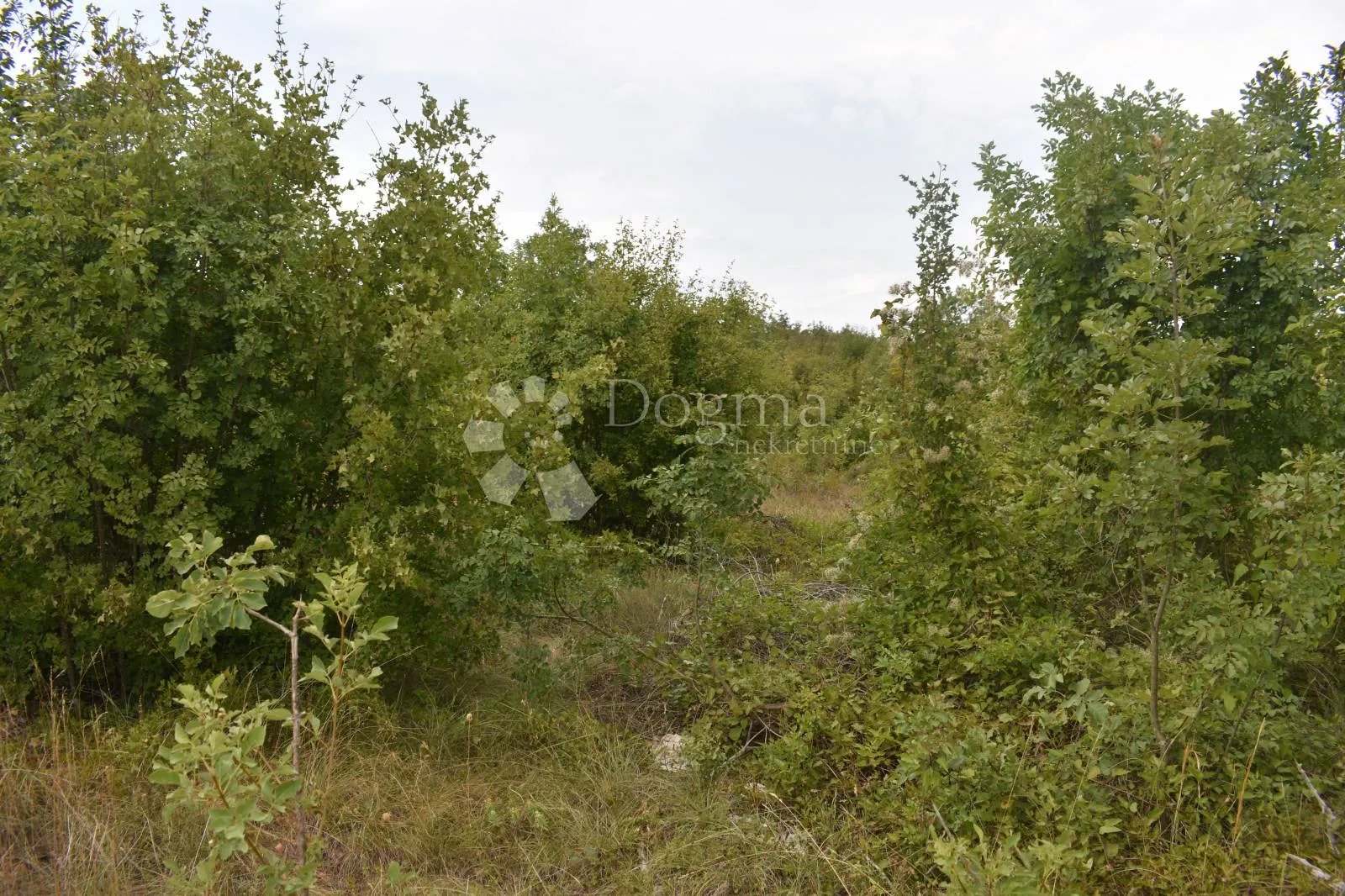 KRŠAN veliko građevinsko zemljište, 4000 m² - cover