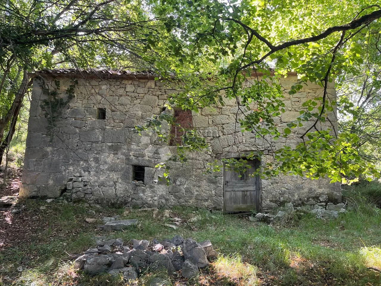 Fotografija