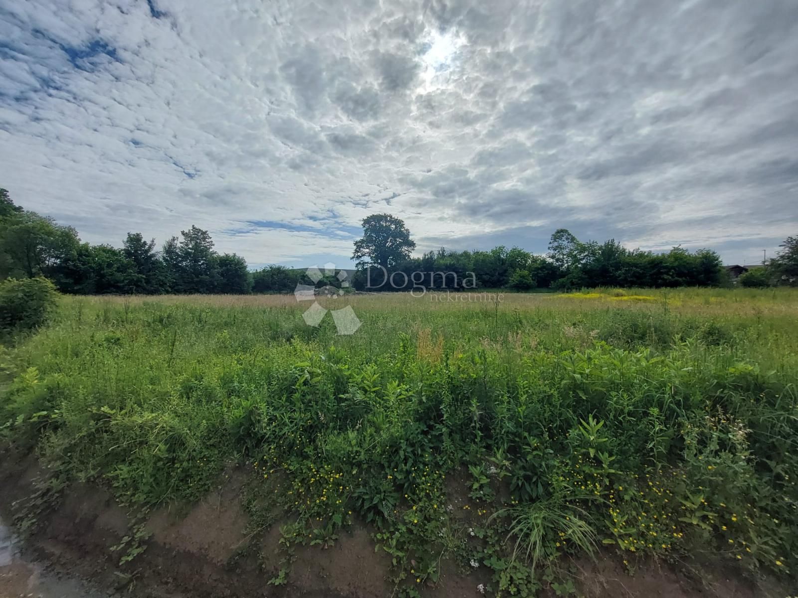 Fotografija