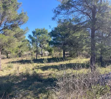 GRAĐEVINSKO ZEMLJIŠTE BILICE, 700m2 - cover