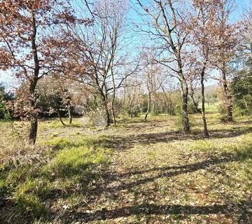 Maslinik i zemljište u okolici Rovinja - cover