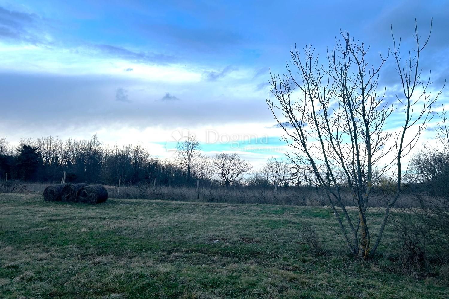 Fotografija