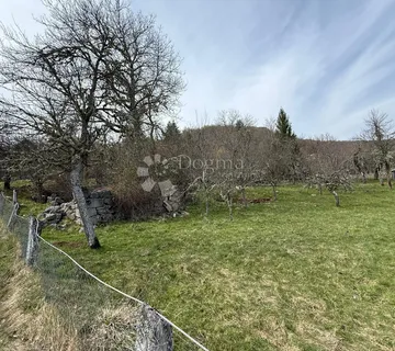 ZEMLJIŠTE POD ŠUMOM BLIZU JEZERA KRUŠČICA  - cover