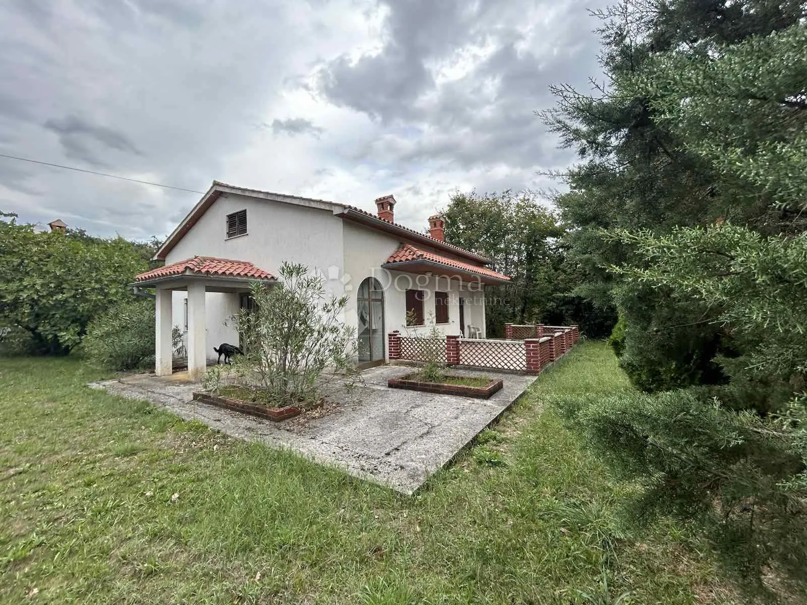 Fotografija